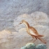 The Birds