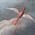The Birds