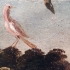 The Birds