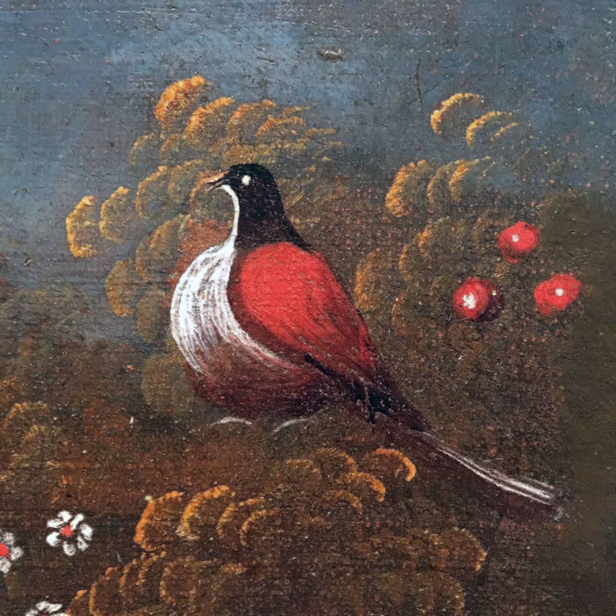 The Birds