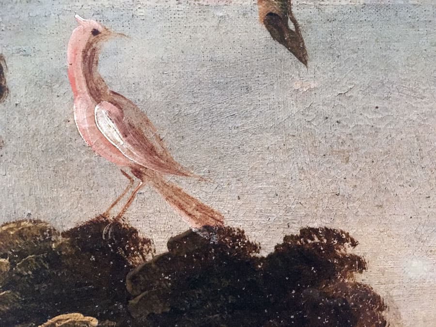 The Birds