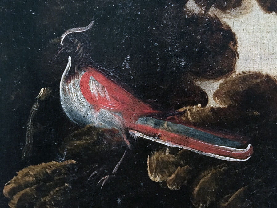 The Birds